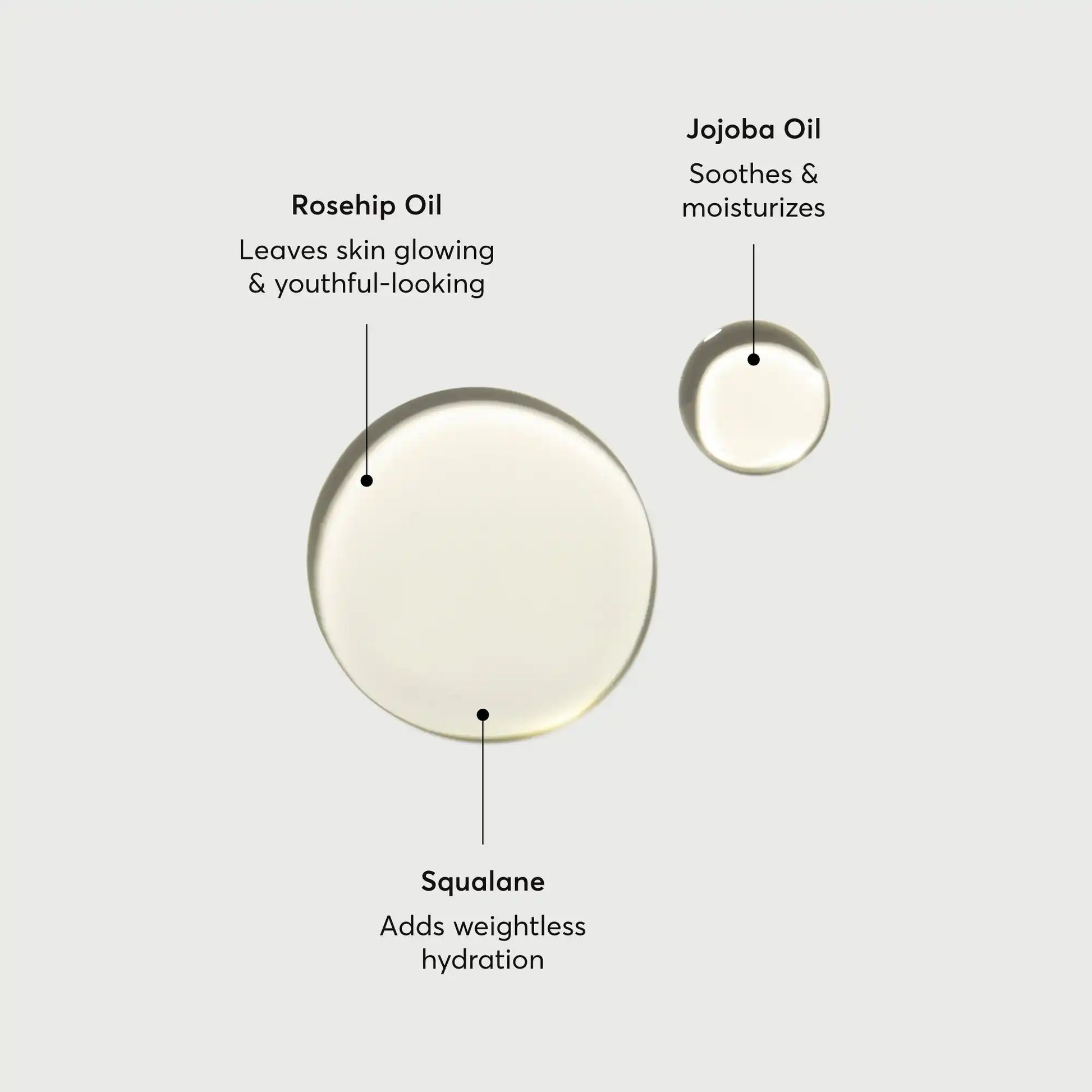 the-glow-getter-body-oil-l1 NATR-10115-Alt-Images-The-Glow-Getter-Body-Oil-01.webp