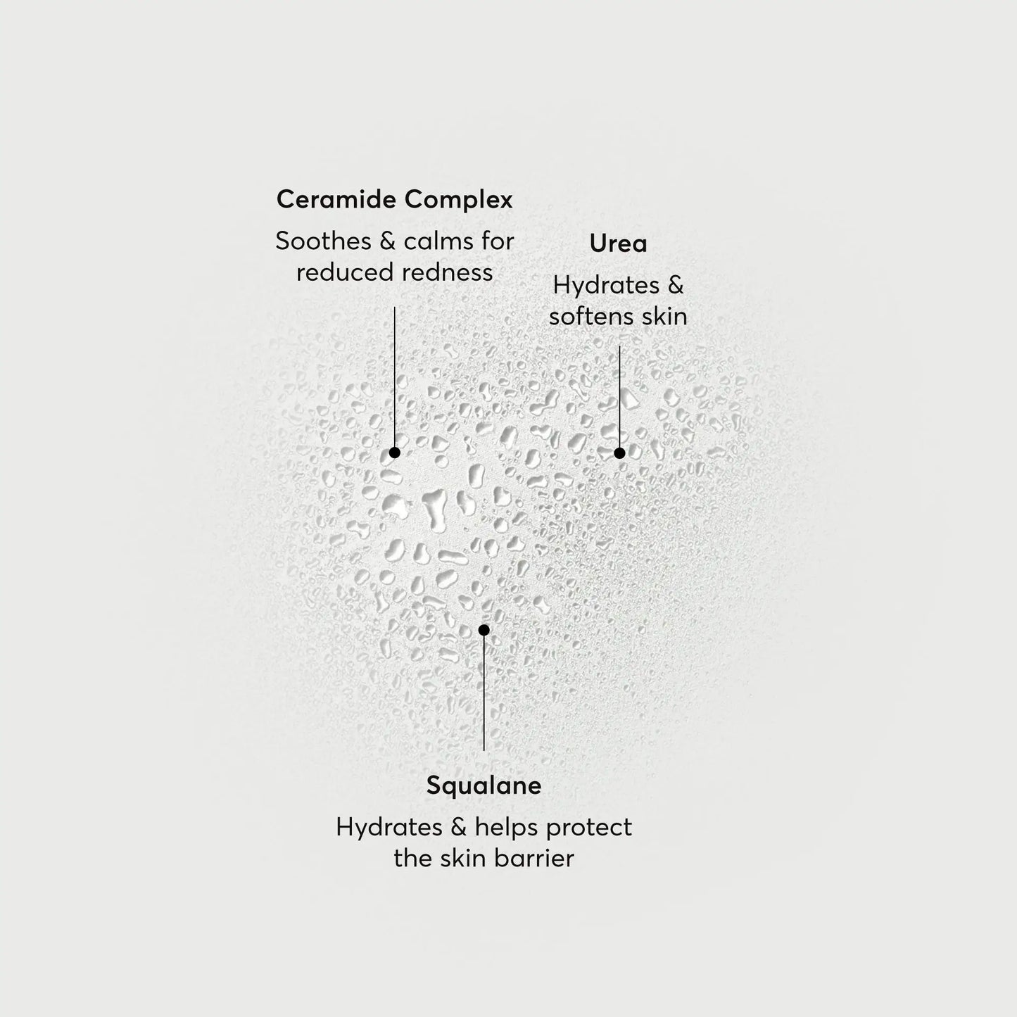 barrier-bounce-bi-phase-mist-k8 NATR-10167-Alt-Images-Barrier-Bounce-Bi-Phase-Toner-Mist_01.webp
