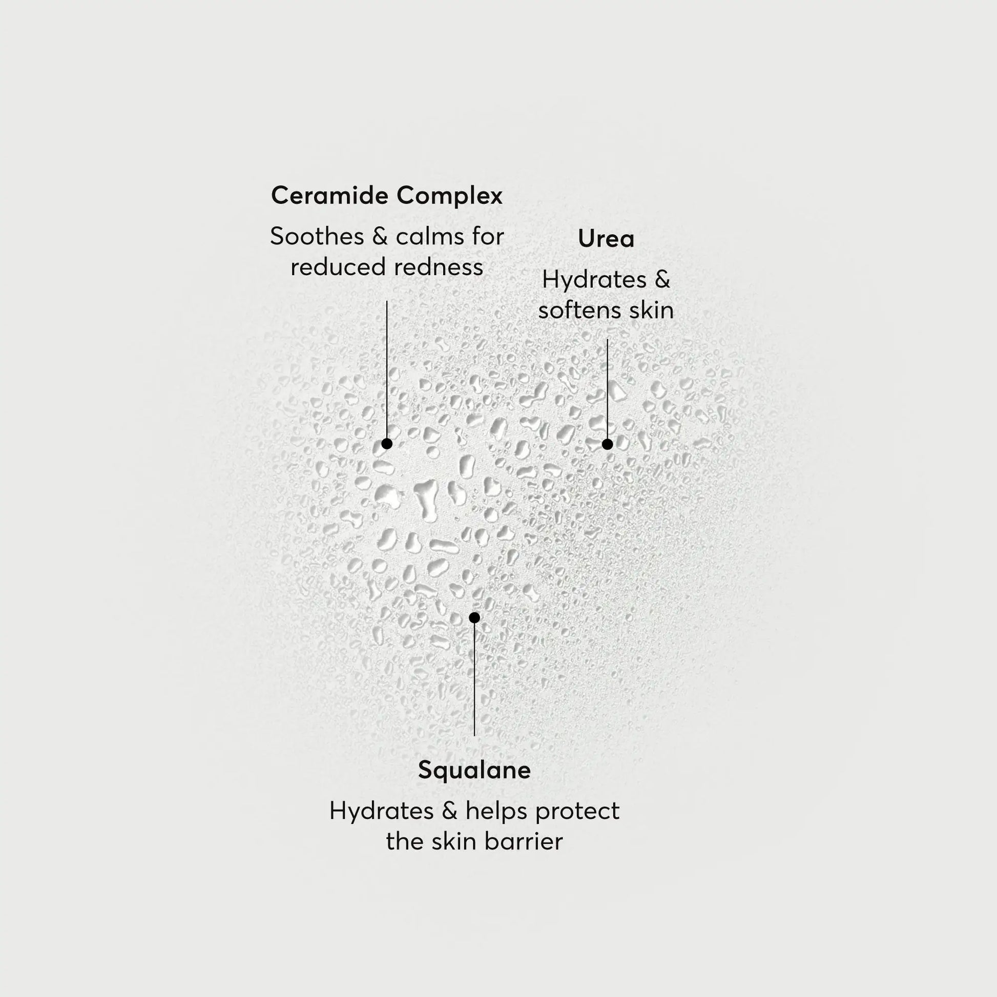 barrier-bounce-bi-phase-mist-k8 NATR-10167-Alt-Images-Barrier-Bounce-Bi-Phase-Toner-Mist_01.webp
