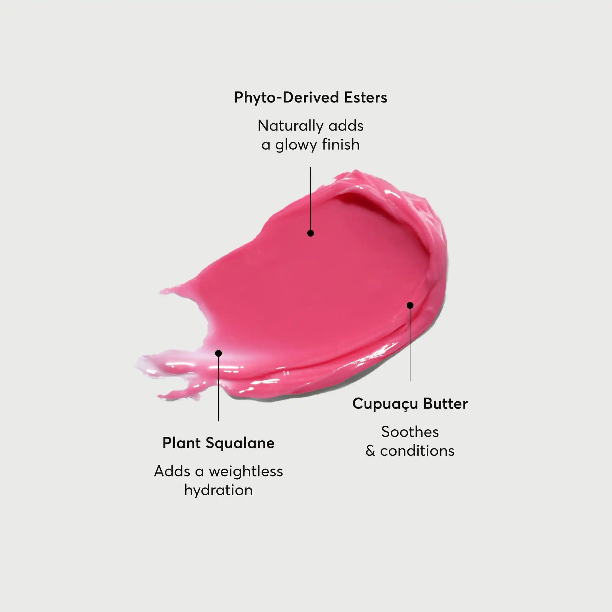 phyto-glow-lip-balm-camellia-q4 NATR-60075-Alt-Images-Phyto-Glow-Lip-Balm-Camellia-01.webp