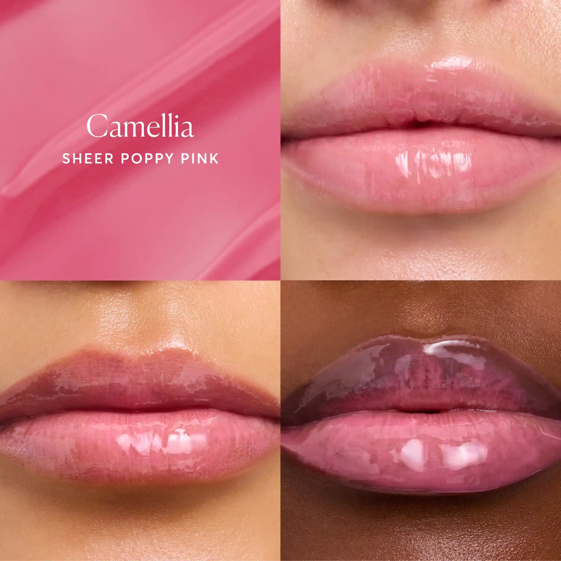 phyto-glow-lip-balm-camellia-c6 NATR-60075-Alt-Images-Phyto-Glow-Lip-Balm-Camellia-05.webp